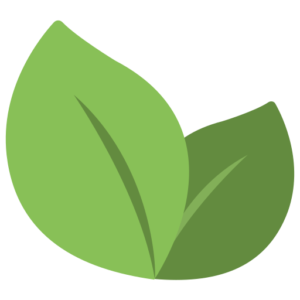 Mobile Car Detailing in Charlotte, NC | Ultimate Mobile Detailing